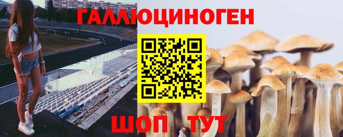 Галлюциногенные грибы MAGIC MUSHROOMS Тара